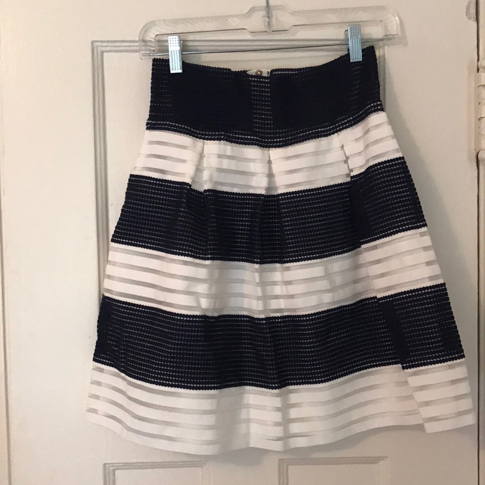Navy and White Skirt